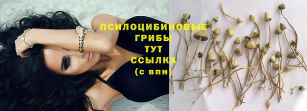 прущая мука Баксан